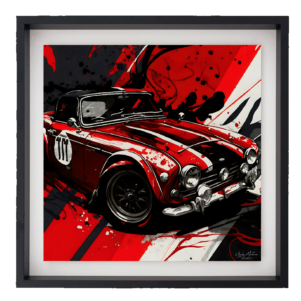 Triumph TR4